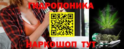спайс Славгород