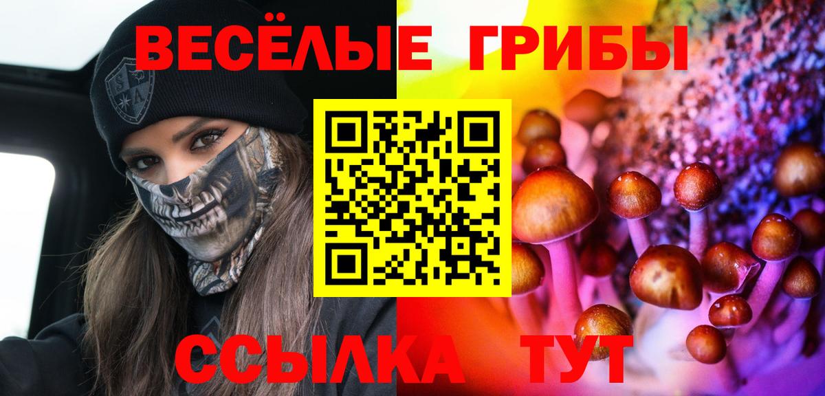 Псилоцибиновые грибы Cubensis Нефтекумск