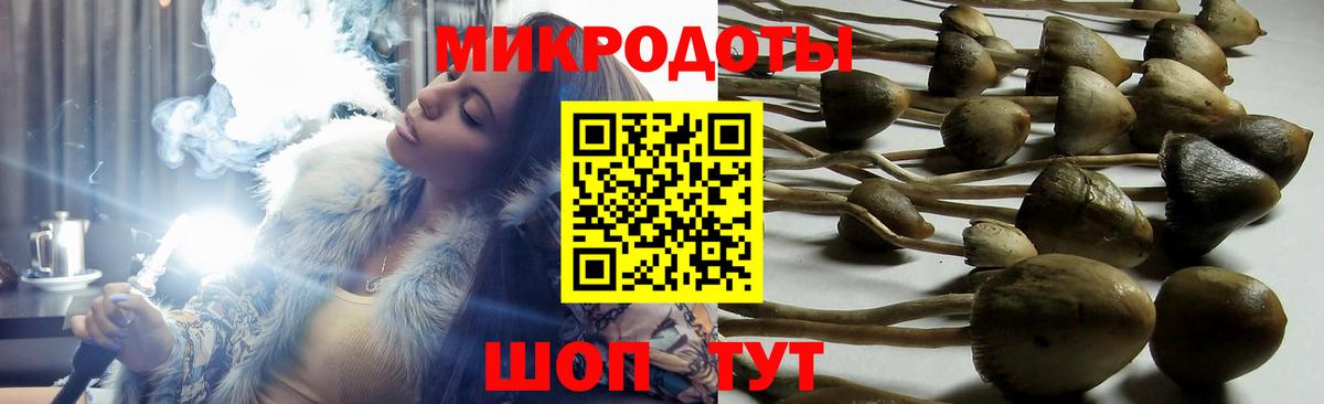 Нефтекумск  Галлюциногенные грибы мицелий  Вход с VPN  как найти наркотики  Галлюциногенные грибы прущие грибы 